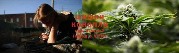 дурь Богданович