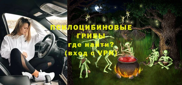 дмт Россошь