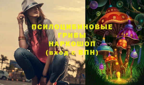 мескалин Богородицк