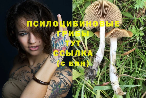 дурь Богданович