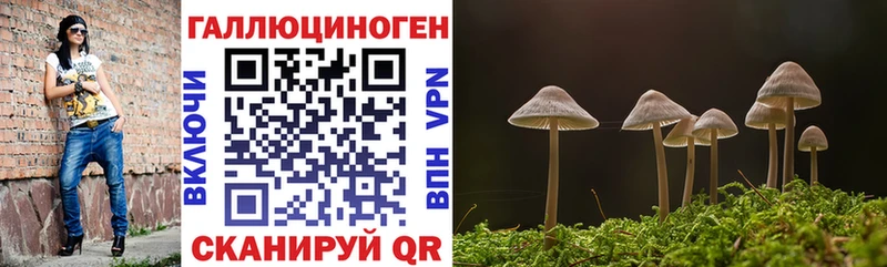 цена наркотик  Чулым  даркнет формула  Псилоцибиновые грибы мухоморы 