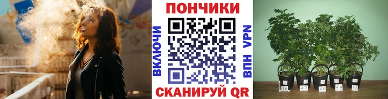 ссылка на мегу зеркало  наркотики  Чулым  Бошки марихуана White Widow 